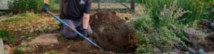 Septic Services